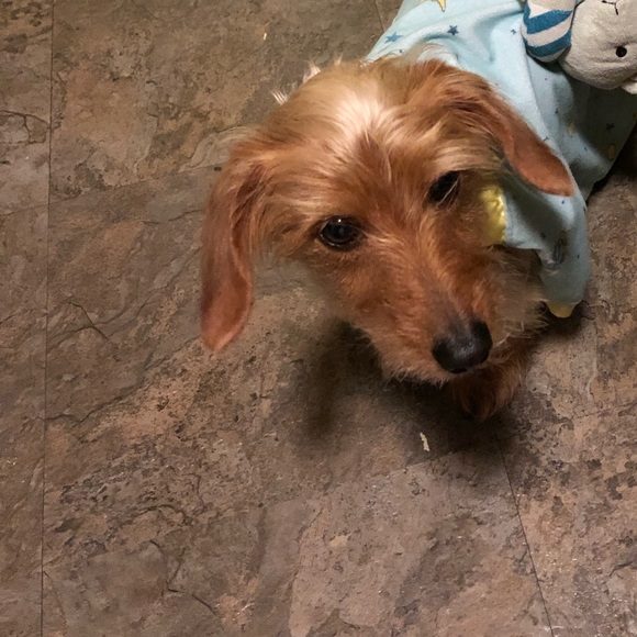 Meet your Posher, Cassondra - Picture 1 of 1